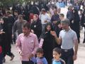 پیاده روی خانوادگی شهرستان رزن به مناسبت هفته دفاع مقدس برگزار شد.